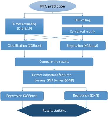 Prediction of Minimal Inhibitory Concentration of Meropenem Against Klebsiella pneumoniae Using Metagenomic Data